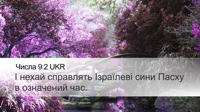 Числа 9:2 UKR Bible Verse Image