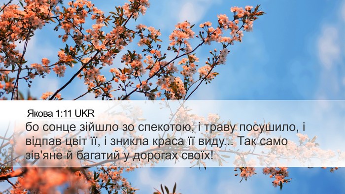 Якова 1:11 UKR Bible Verse Image