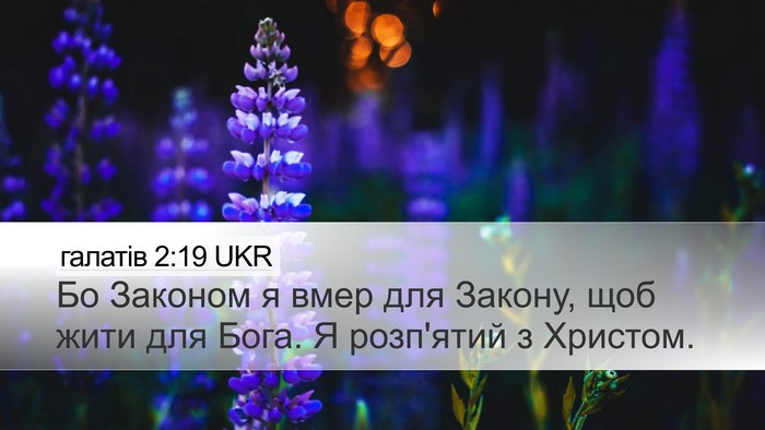 галатів 2:19 UKR Bible Verse Image