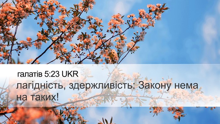галатів 5:23 UKR Bible Verse Image