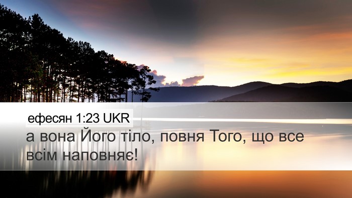 ефесян 1:23 UKR Bible Verse Image