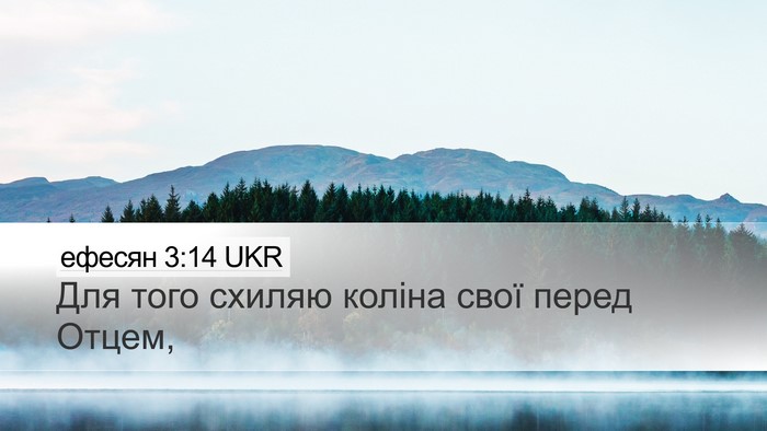 ефесян 3:14 UKR Bible Verse Image