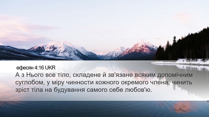 ефесян 4:16 UKR Bible Verse Image