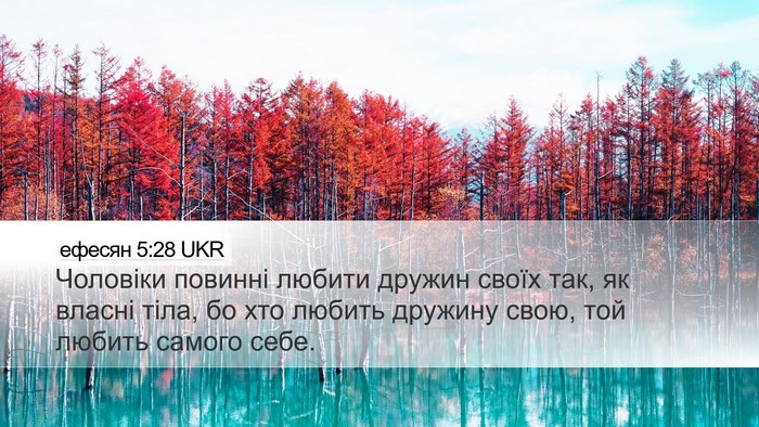 ефесян 5:28 UKR Bible Verse Image