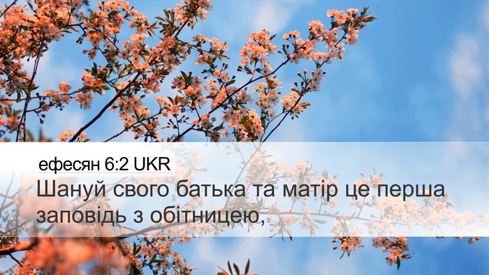 ефесян 6:2 UKR Bible Verse Image