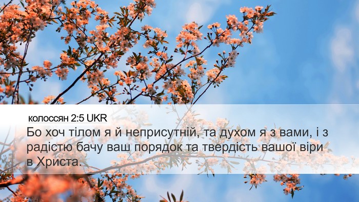 колоссян 2:5 UKR Bible Verse Image
