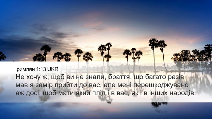 римлян 1:13 UKR Bible Verse Image