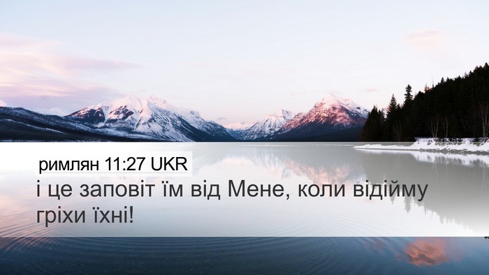римлян 11:27 UKR Bible Verse Image