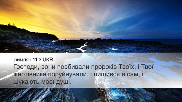 римлян 11:3 UKR Bible Verse Image