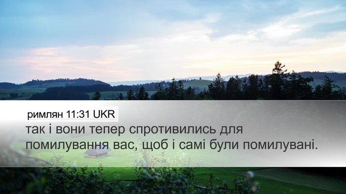 римлян 11:31 UKR Bible Verse Image