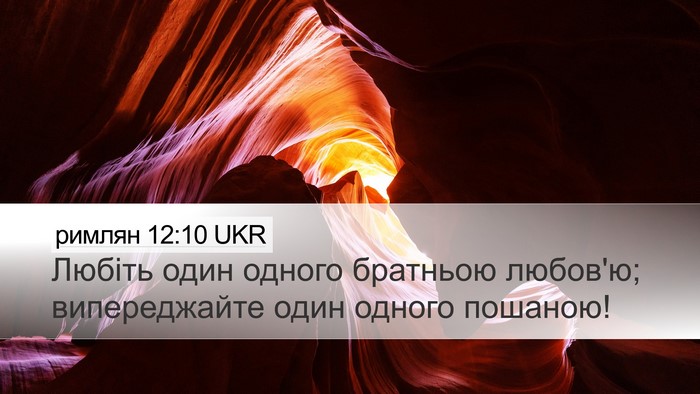 римлян 12:10 UKR Bible Verse Image