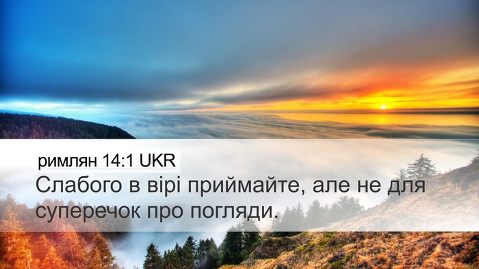 римлян 14:1 UKR Bible Verse Image