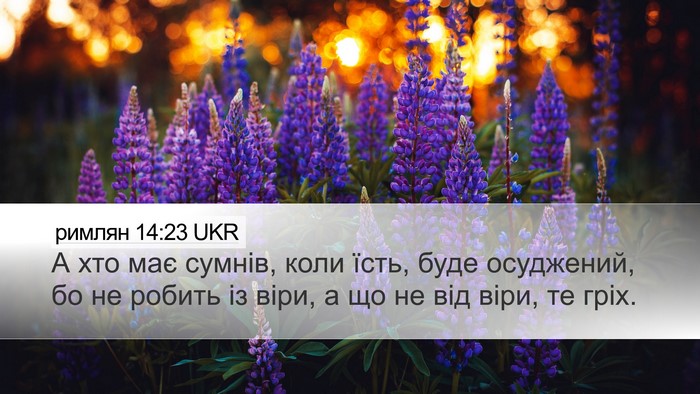 римлян 14:23 UKR Desktop Wallpaper - А хто має сумнів, коли їсть, - Desktop Bible Verse Wallpaper