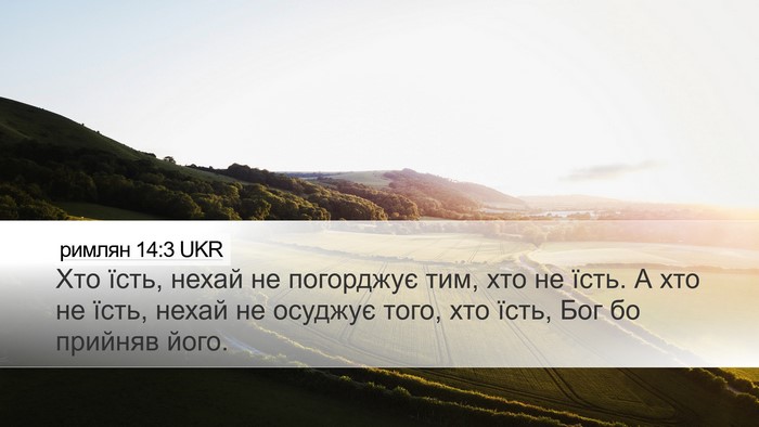 римлян 14:3 UKR Bible Verse Image