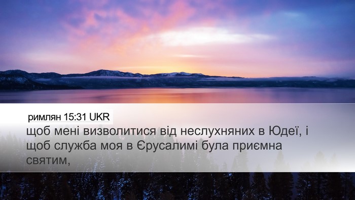 римлян 15:31 UKR Bible Verse Image