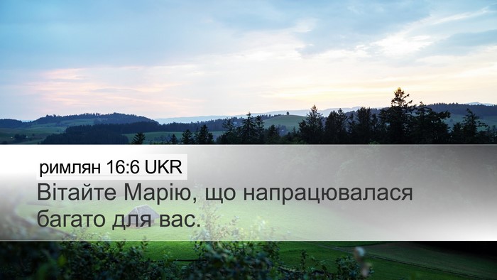 римлян 16:6 UKR Desktop Wallpaper - Вітайте Марію, що - Desktop Bible Verse Wallpaper