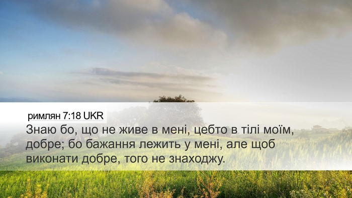 римлян 7:18 UKR Bible Verse Image