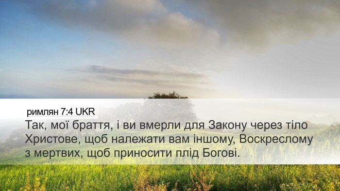 римлян 7:4 UKR Bible Verse Image