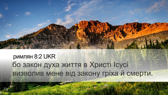 римлян 8:2 UKR Bible Verse Image