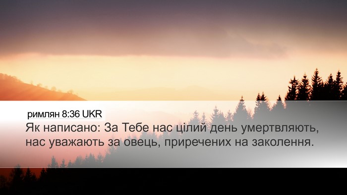 римлян 8:36 UKR Bible Verse Image