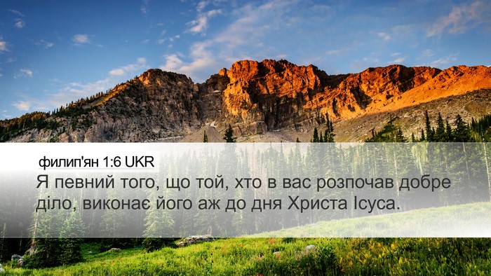 филип'ян 1:6 UKR Bible Verse Image
