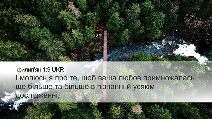 филип'ян 1:9 UKR Bible Verse Image