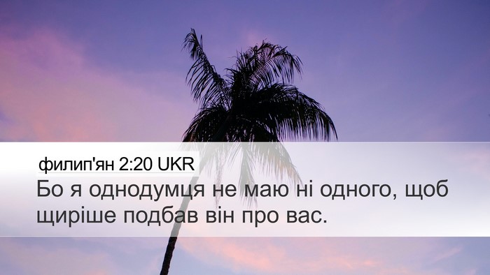 филип'ян 2:20 UKR Bible Verse Image