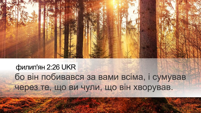 филип'ян 2:26 UKR Bible Verse Image