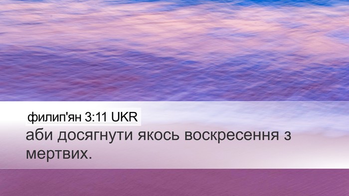 филип'ян 3:11 UKR Desktop Wallpaper - аби досягнути якось - Desktop Bible Verse Wallpaper