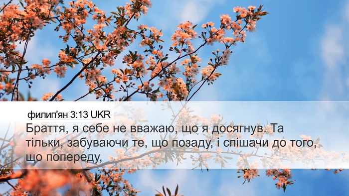 филип'ян 3:13 UKR Bible Verse Image