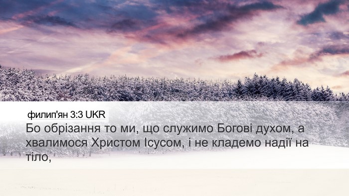 филип'ян 3:3 UKR Bible Verse Image
