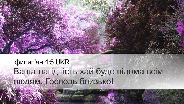 филип'ян 4:5 UKR Bible Verse Image