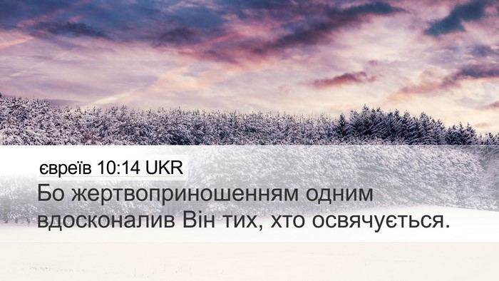 євреїв 10:14 UKR Bible Verse Image