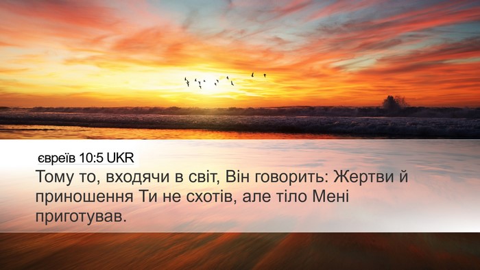 євреїв 10:5 UKR Bible Verse Image