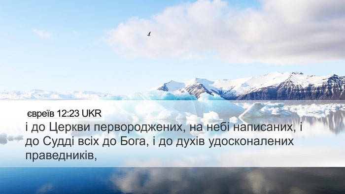 євреїв 12:23 UKR Bible Verse Image
