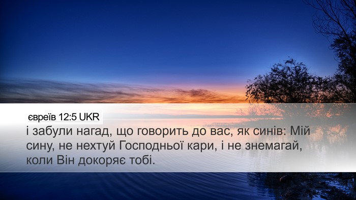 євреїв 12:5 UKR Bible Verse Image