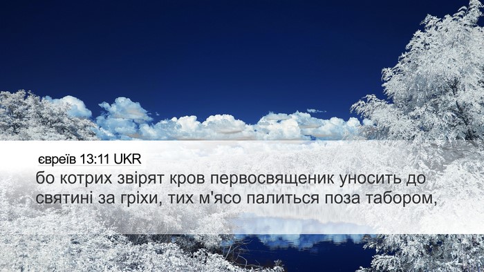 євреїв 13:11 UKR Bible Verse Image