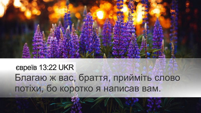 євреїв 13:22 UKR Bible Verse Image