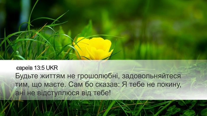 євреїв 13:5 UKR Bible Verse Image