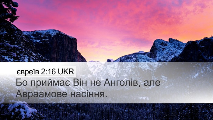 євреїв 2:16 UKR Desktop Wallpaper - Бо приймає Він не Анголів, - Desktop Bible Verse Wallpaper