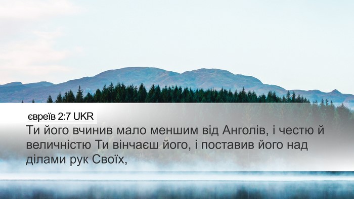 євреїв 2:7 UKR Bible Verse Image