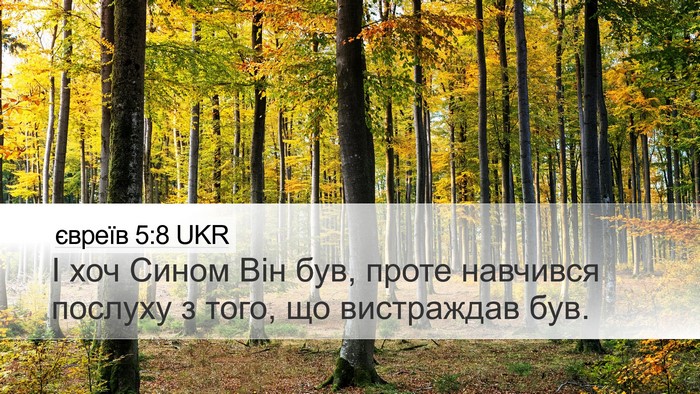 євреїв 5:8 UKR Bible Verse Image