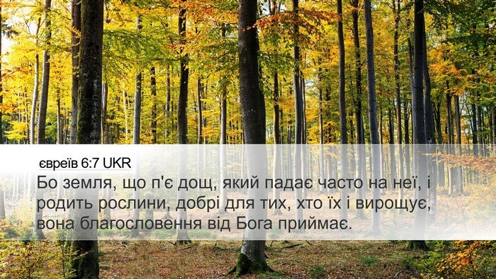 євреїв 6:7 UKR Bible Verse Image