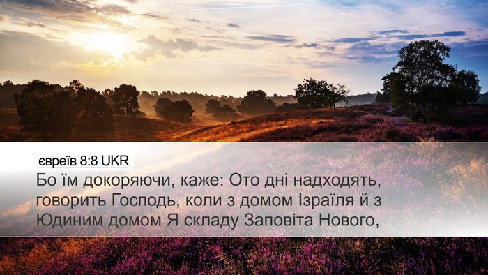 євреїв 8:8 UKR Bible Verse Image