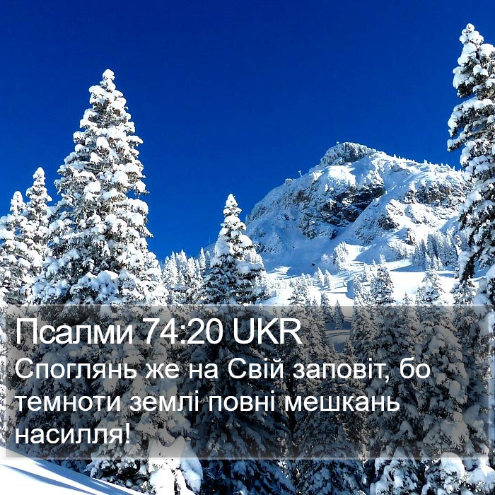Псалми 74:20 UKR - Споглянь же на Свій