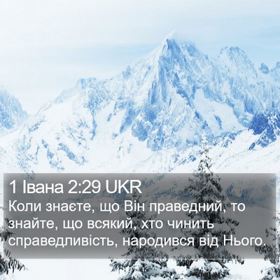 1 Івана 2:29 UKR Bible Verse Image