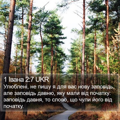 1 Івана 2:7 UKR Bible Verse Image