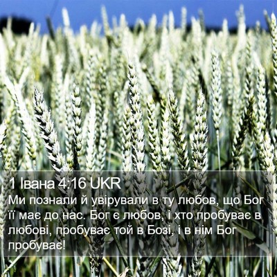 1 Івана 4:16 UKR Bible Verse Image