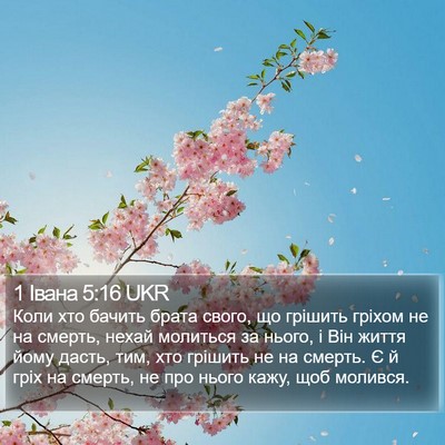 1 Івана 5:16 UKR Bible Verse Image