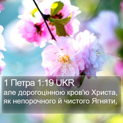 1 Петра 1:19 UKR Bible Verse Image